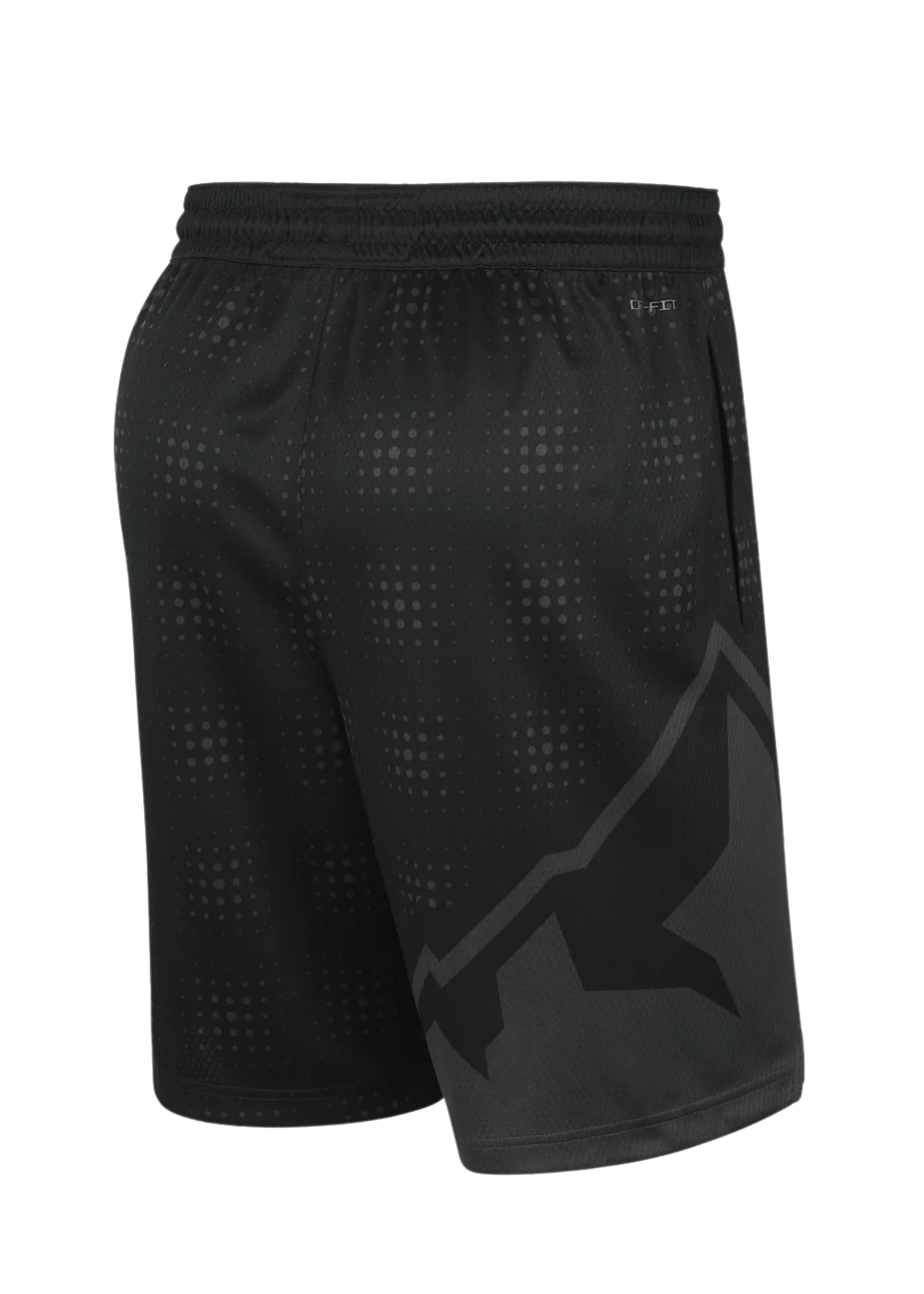 מכנסי NBA פורטלנד טרייל בלייזרס – CITY EDITION 24/25