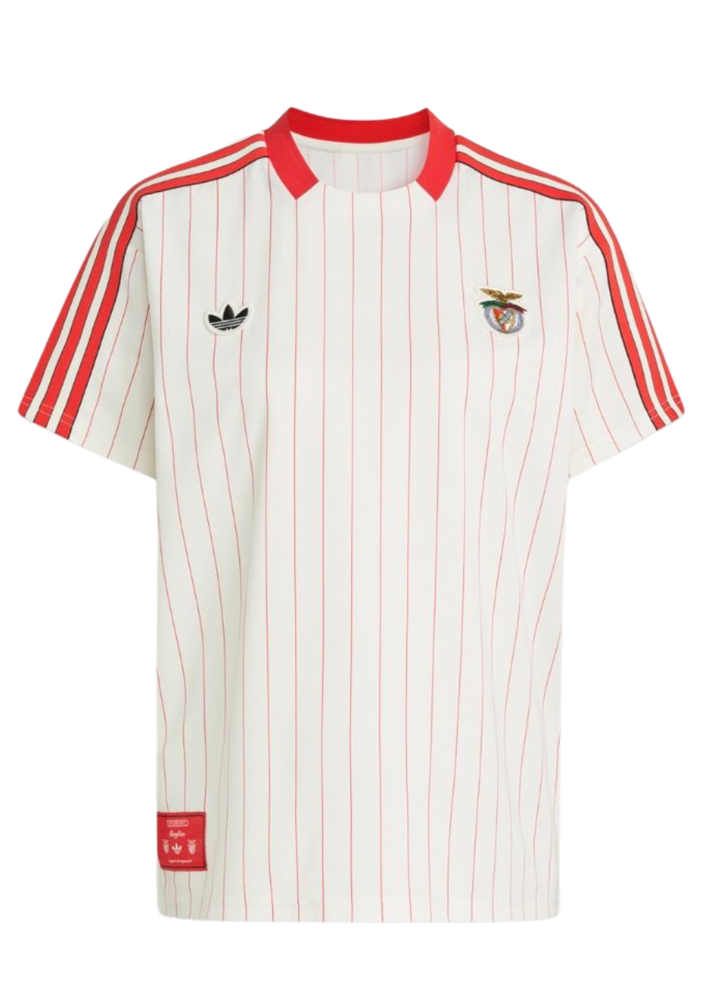 חולצת טי-שרט בנפיקה | 25/26