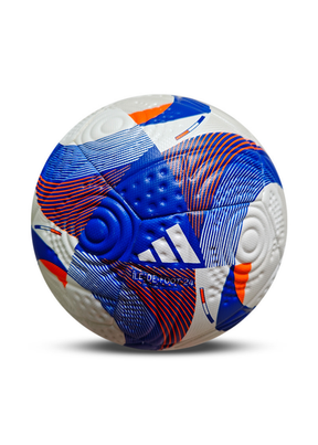 כדור כדורגל מקצועי - צרפת 24