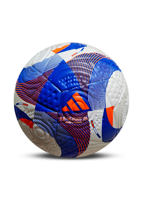 כדור כדורגל מקצועי - צרפת 24