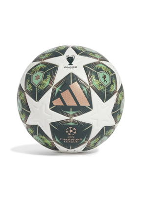 כדור כדורגל מקצועי - ליגת אלופות 24/25