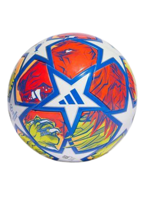 כדור כדורגל מקצועי - ליגת אלופות 23/24